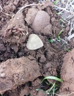Heart pendant.jpg Heart pendant.jpg
