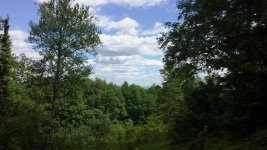 Far view.jpg