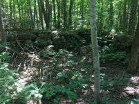 Town farm cellar hole.jpg