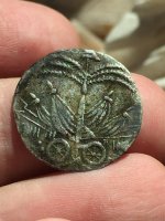 coin (1).jpg