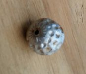 silverbead1.jpg silverbead1.jpg