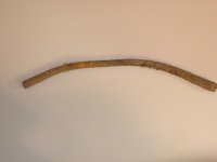 DSCN1833.jpg