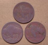 Buffs-Rev-1125.jpg Buffs-Rev-1125.jpg