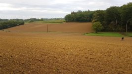 IMG-20170925-WA0002.jpg