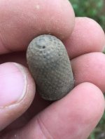 thimble.jpg