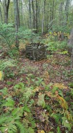 old abandon well .jpg