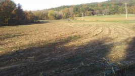 field.jpg