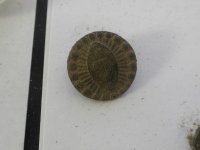 DSCN1914.jpg