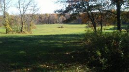 field22.jpg