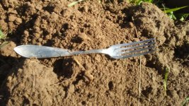 fork.jpg