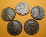 Older-Wheats-1227.jpg Older-Wheats-1227.jpg