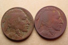 Buffalo-Nickels-1113.jpg