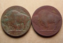 Buffalo-Nickels-Rev.jpg