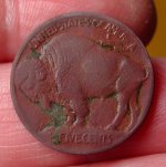 Buffalo-Rev-0924.jpg