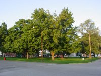 Park-2.jpg