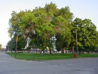 Park-4.jpg
