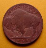 Buffalo-R.jpg