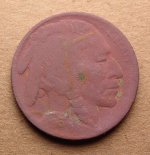 Buffalo-Obverse.jpg