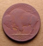 Buffalo-Reverse.jpg