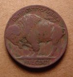 Buffalo-Rev-0110.jpg