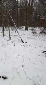 dec 30 hunt 2.jpg