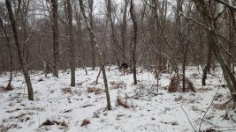dec 30 hunt.jpg