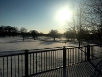 Frozen.jpg