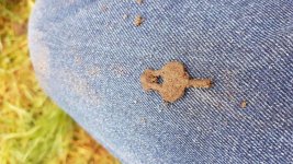 IMG-20180203-WA0003.jpg