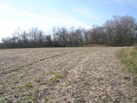 PA300103.jpg.png