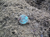 NOVE 6TH  HUNT WITH GARY LARGE ROSETTE 002 [].jpg.png