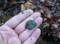 NOVE 6TH  HUNT WITH GARY LARGE ROSETTE 003 [].jpg.png