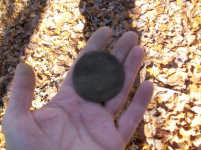 NOVE 6TH  HUNT WITH GARY LARGE ROSETTE 004 [].jpg.png