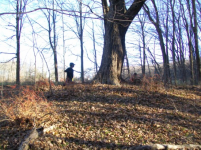NOV 13TH  HUNT WITH FRANK ,REBEL & DIRTLIZARD 001 [].jpg.png