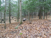 NOV 17TH HUNT WITH FRANK SHOT MASS COPPER 001 [].jpg.png