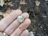NOV 17TH HUNT WITH FRANK SHOT MASS COPPER 008 [].jpg.png