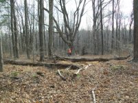 NOV 27TH  HUNT WITH JESS AND GARY 001 [].jpg