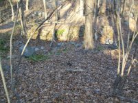 NOV 29TH  HUNT WITH frank 001 [].jpg