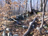 DEC 2ND  HUNT WITH FRANK MATRON HEAD 008 [].jpg