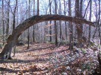 DEC 4TH  HUNT WITH ROGER  CELLAR HOLE SILVER 028 [].jpg