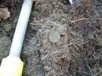 DEC 4TH  HUNT WITH ROGER  CELLAR HOLE SILVER 032 [].jpg
