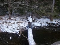 DEC 7TH  HUNT WITH ROGER  CELLAR HOLE CAMERA FOUND 001 [].jpg
