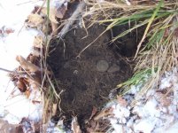 DEC 7TH  HUNT WITH ROGER  CELLAR HOLE CAMERA FOUND 002 [].jpg