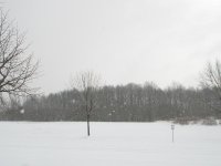 PC040189.jpg