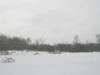 PC040190.jpg