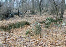 121210a.jpg