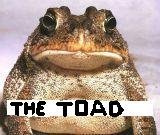 the toad.JPG