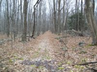 DEC 26TH HUNT WITH SNIFFY BUCKLES 001 [].jpg