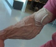 big_veins_thumb.jpg