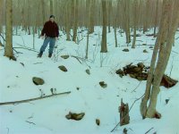 cellar hole 1F.jpg