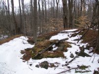 JAN 2 2011 CT CIVIL WAR BUTTON 004 [].jpg